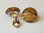 Ohrclips mit Edelsteinen Natursteinen Cabochon 2 cm rund